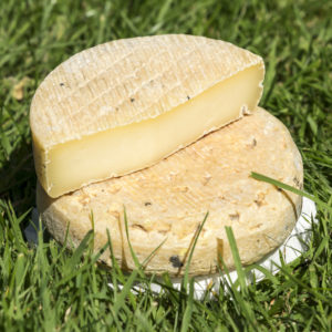 Tomme charentaise - fromage fermier